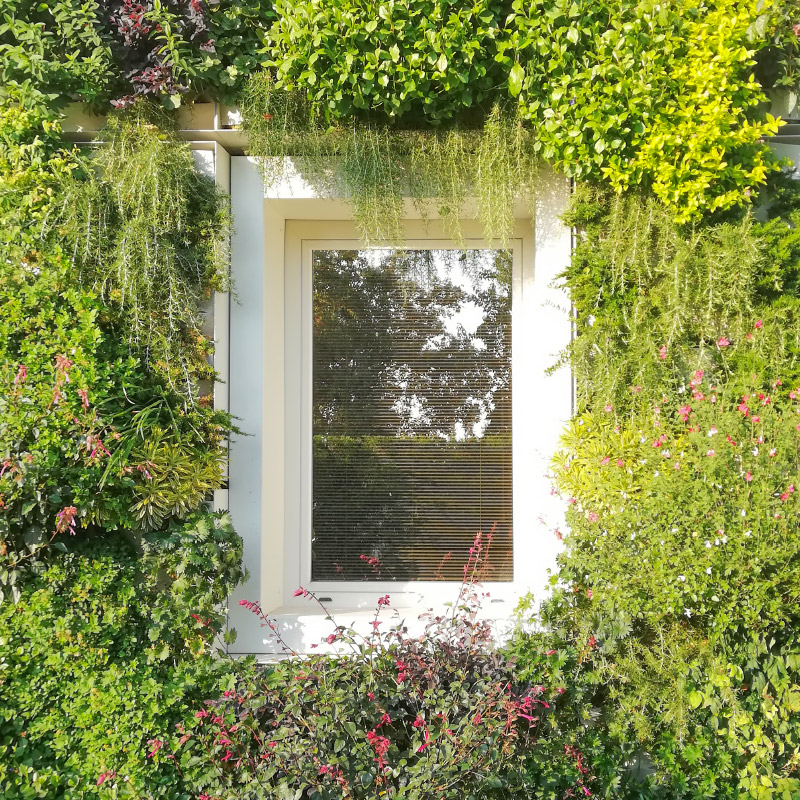 giardini verticali